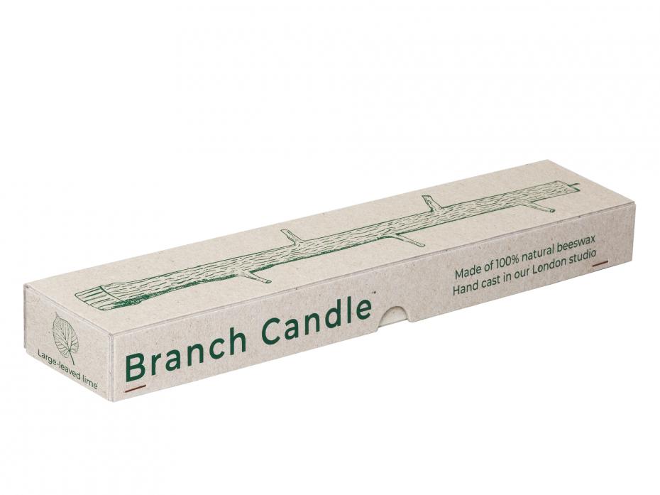 Branch Candle -  Ilex Studio Packaging  Terre Verte